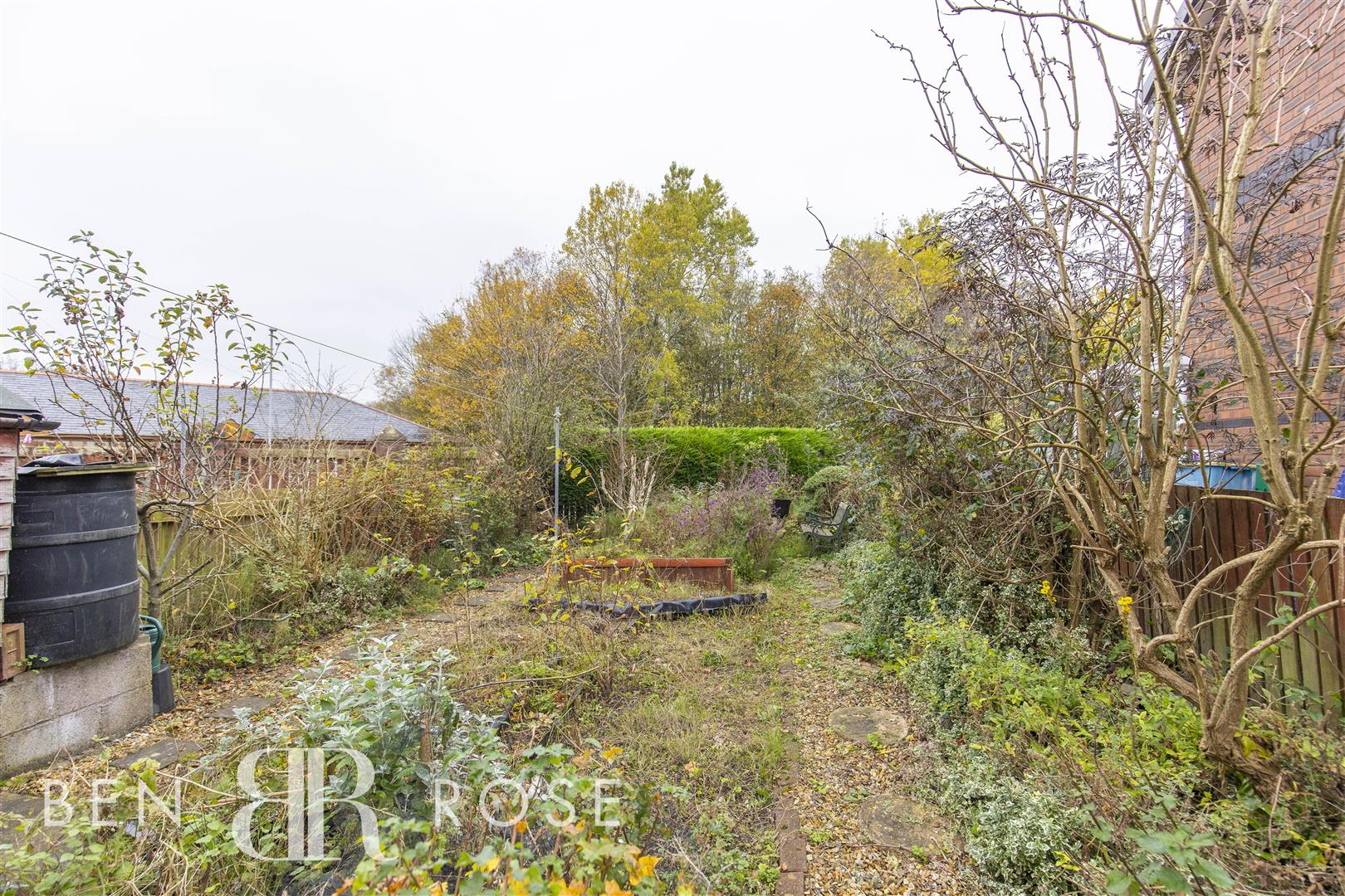 Acer Grove, Preston